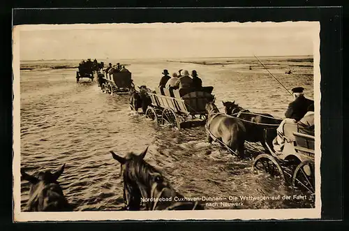 AK Cuxhaven-Duhnen, Wattwagen auf der Fahrt nach Neuwerk