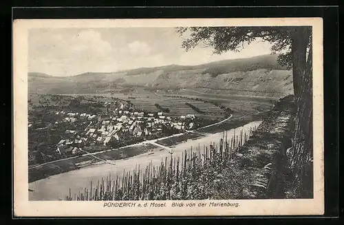 AK Pünderich a. d. Mosel, Blick von der Marienburg