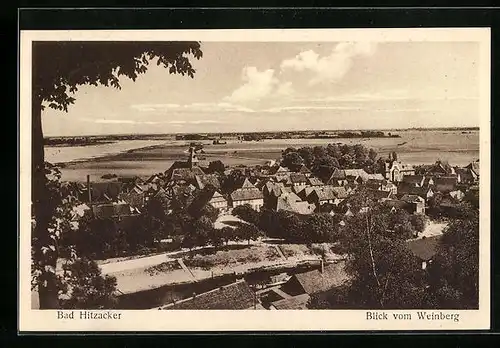 AK Bad Hitzacker, Blick vom Weinberg, Ortsansicht und Elbpartie