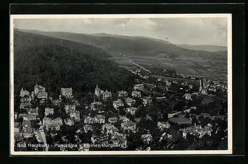 AK Bad Harzburg, Panorama vom kleinen Burgberg