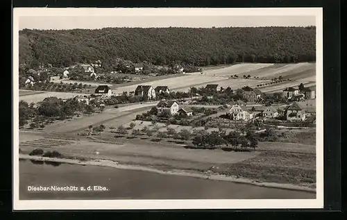 AK Diesbar-Nieschütz / Elbe, Gesamtansicht