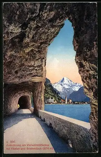AK Flüelen, Axenstrasse am Vierwaldstättersee und Bristenstock