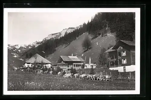 AK Lenk im Simmental, Ififenalp