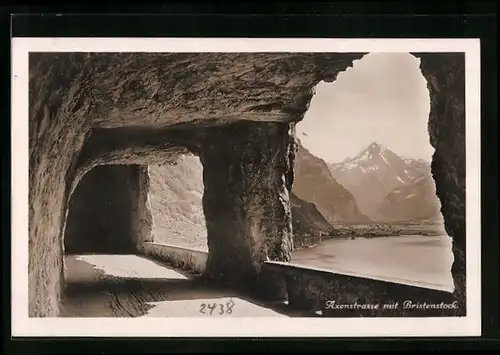 AK Flüelen, Axenstrasse mit Bristenstock