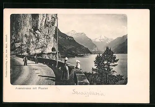 AK Flüelen, Axenstrasse mit Blick zum Ort