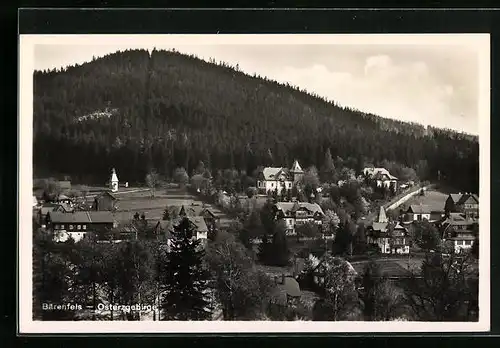 AK Bärenfels im Osterzgeb., Ortsansicht aus der Vogelschau