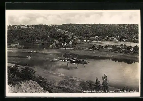 AK Diesbar-Nieschütz, Löbsal und der Golkwald