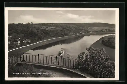 AK Diesbar a. d. Elbe, Blick vom bösen Bruder