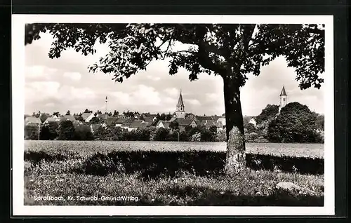 AK Spraitbach, Ortsansicht aus der Ferne