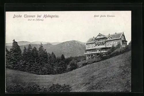AK Hohegeiss (Harz), Hotel Dicke Tannen