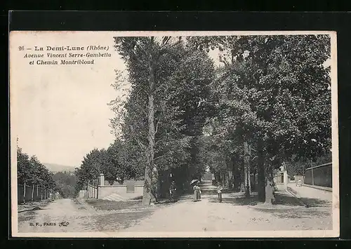AK La Demi-Lune (Rhone), Avenue Vincent Serre-Gambetta et Chemin Montribloud