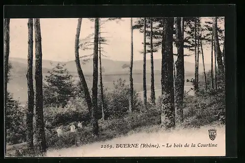 AK Duerne, Le bois de la Courtine