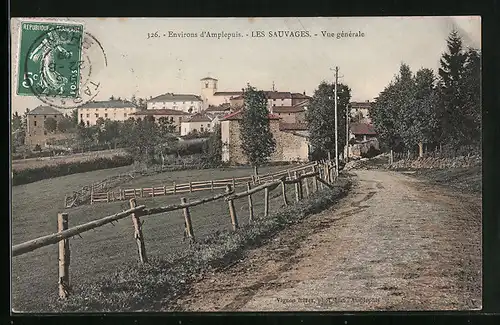 AK Les Sauvages, Vue gènèrale