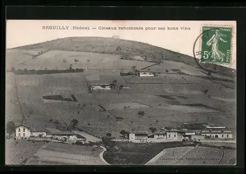 AK Brouilly, Coteaux renommès pour ses bons vins