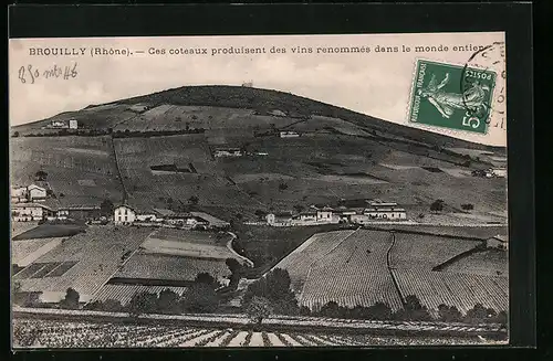 AK Brouilly, Ces coteaux produisent des vins renommès dans le monde entier