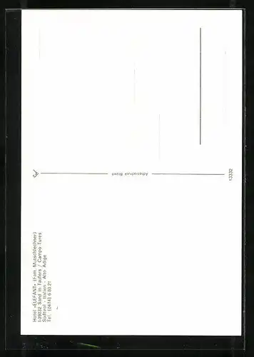 AK Sand in Taufers, Hotel Elefant, Innenansichten