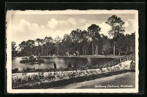 AK Stollberg (Sachsen), Walkteich