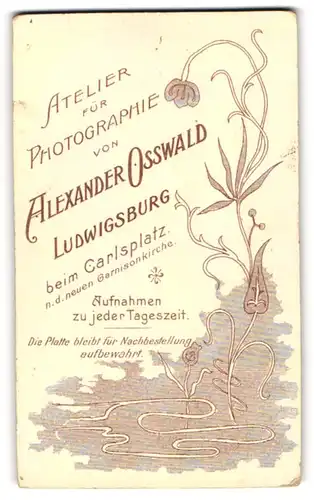 Fotografie Alexander Osswald, Ludwigsburg, beim Carlsplatz, aus dem Wasser wachsende Pflanzen