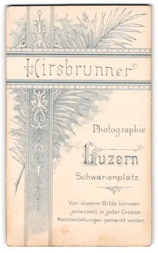 Fotografie C. Hirsbrunner, Luzern, Schwanenplatz, Farn und Dekor