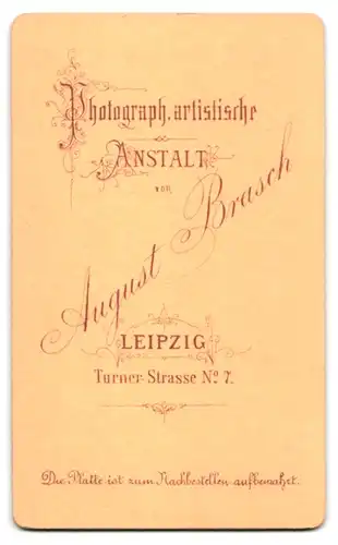 Fotografie A. Brasch, Leipzig, Professor der Juristischen Fakultät Leipzig im Anzug, Vollbart