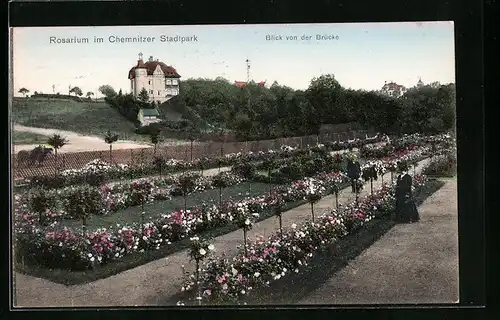 AK Chemnitz, Rosarium im Stadtpark