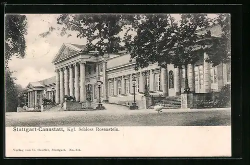 AK Stuttgart-Cannstatt, Kgl. Schloss Rosenstein mit Park