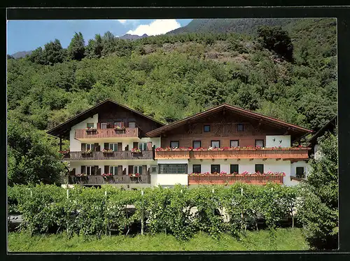 AK Naturns, Pension Fallrohr-Hof