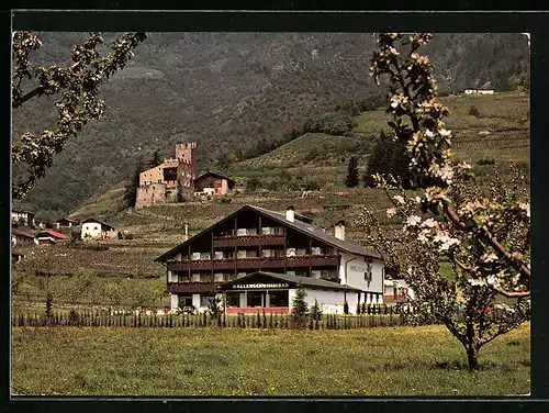 AK Naturns, Hotel Feldhof mit Kirschblüten am Feldweg 248