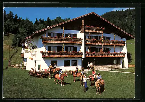 AK Hafling, Pension Viertlerhof mit Haflingern