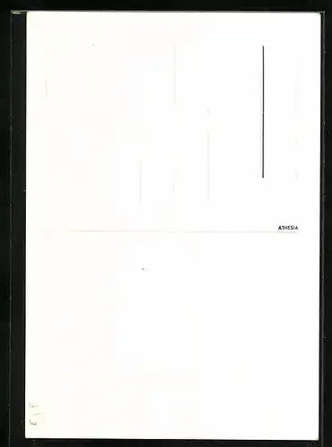 Künstler-AK Söll b. Tramin, Gasthof zur Platten, A. Dissertori`s Eigenbauweine