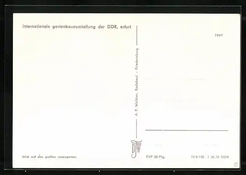 AK Erfurt, Internationale Gartenbauausstellung der DDR, Blick auf den grossen Rosengarten