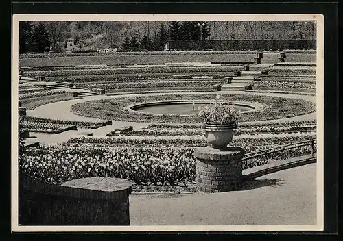 AK Essen, Gruga-Park, Blumenarena