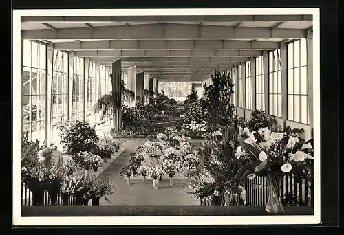AK Stuttgart, Deutsche Gartenschau 1950 - Blumen-Sonderschau in der grossen Halle