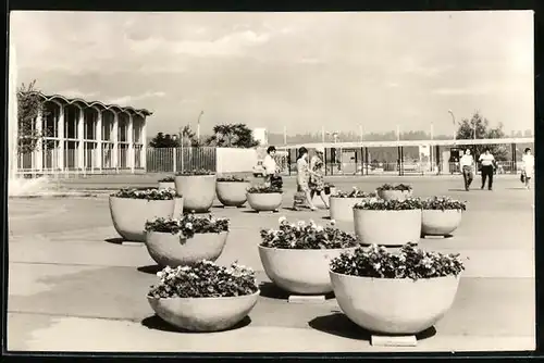 AK Erfurt, Internationale Gartenbauausstellung - Blumenschalen auf dem Ausstellungsgelände