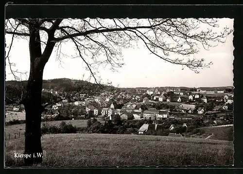 AK Kierspe i. W., Teilansicht mit Baum