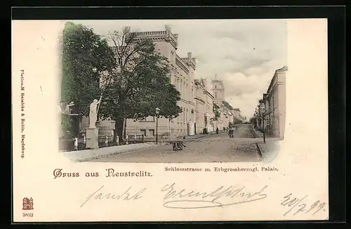 AK Neustrelitz, Schlossstrasse mit Palais