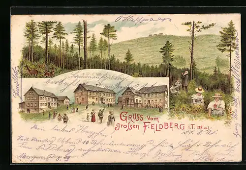 Lithographie Feldberg i. T., Die drei Feldberghäuser mit Waldlandschaft
