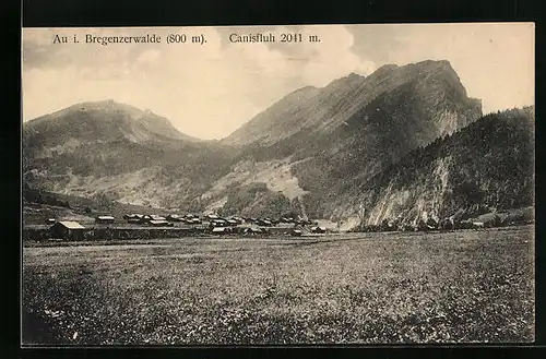 AK Au i. Bregenzerwalde, Teilansicht mit Canisfluh