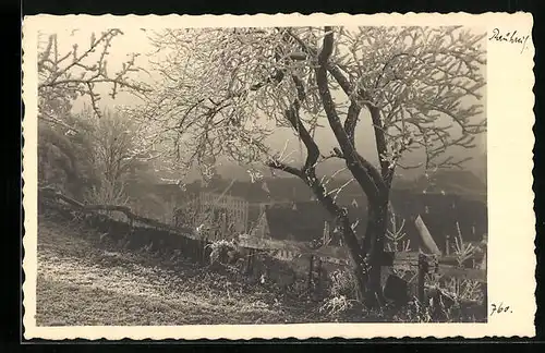 AK Rankweil, Ortsansicht im Nebel