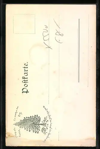 AK Nordhausen, Strassenpartie vor dem Dom