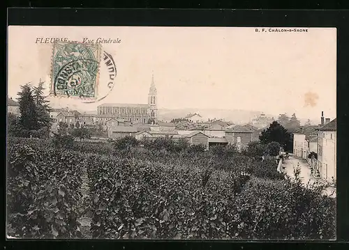 AK Fleurie, Vue Générale