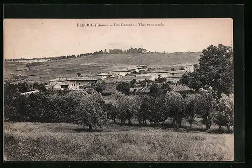 AK Fleurie, les Garants, Vins renommés