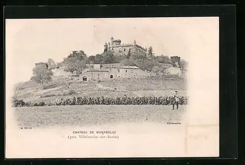 AK Villefranche-sur-Saone, Chateau de Montmélas