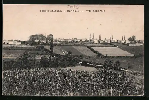 AK Bianne, Vue générale