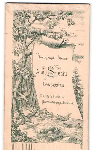 Fotografie Aug. Specht, Gangkofen, Vögel im Wald, Anschrift des Fotografen auf Papier am Ast hängend