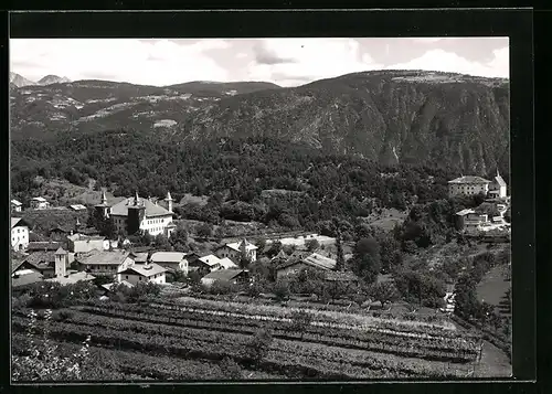 AK Prissian bei Lana, Panorama