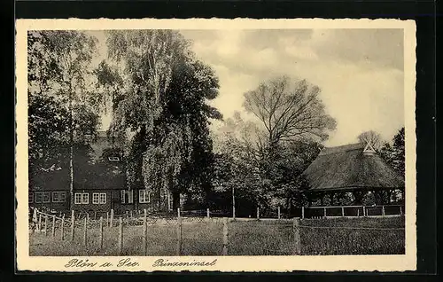 AK Plön a. See, Niedersächsisches Bauernhaus Prinzeninsel