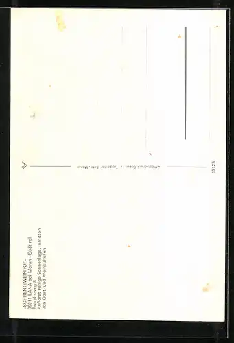 AK Lana bei Meran, Hotel Schrenteweinhof, Brandisweg 8