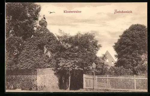 AK Zehdenick, Storch auf der Klosterruine
