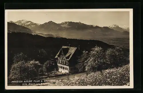 AK Fluh, Pension Adler mit Bergpanorama